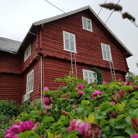 Haugtun Gardspensjonat Og Leiligheter Nordre Land Exteriér fotografie