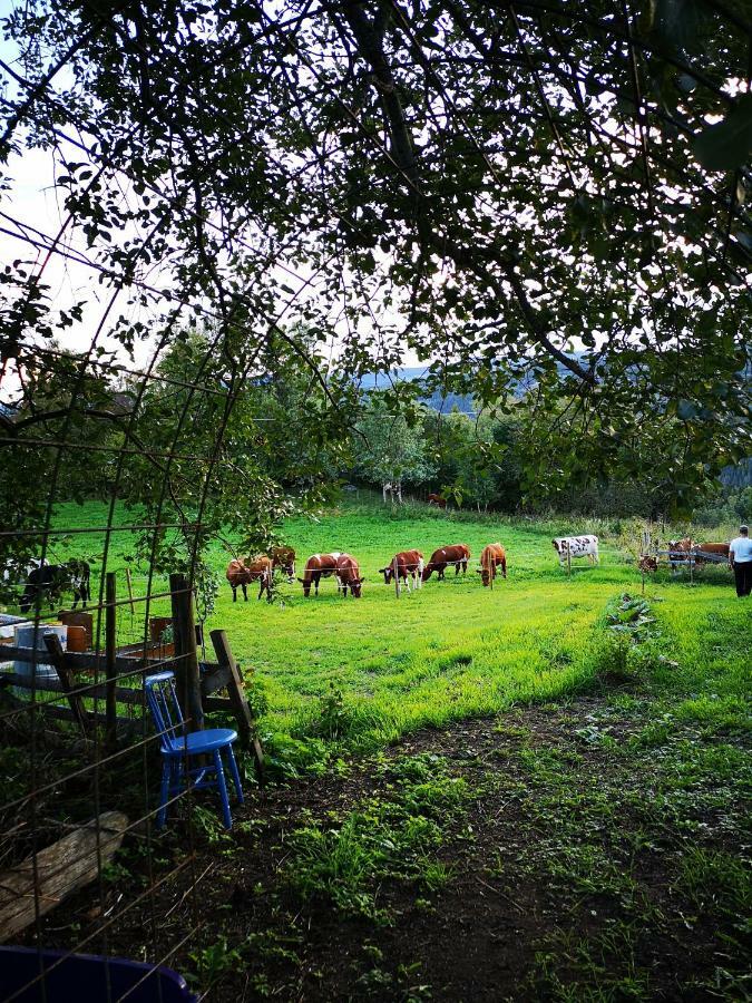 Haugtun Gardspensjonat Og Leiligheter Nordre Land Exteriér fotografie