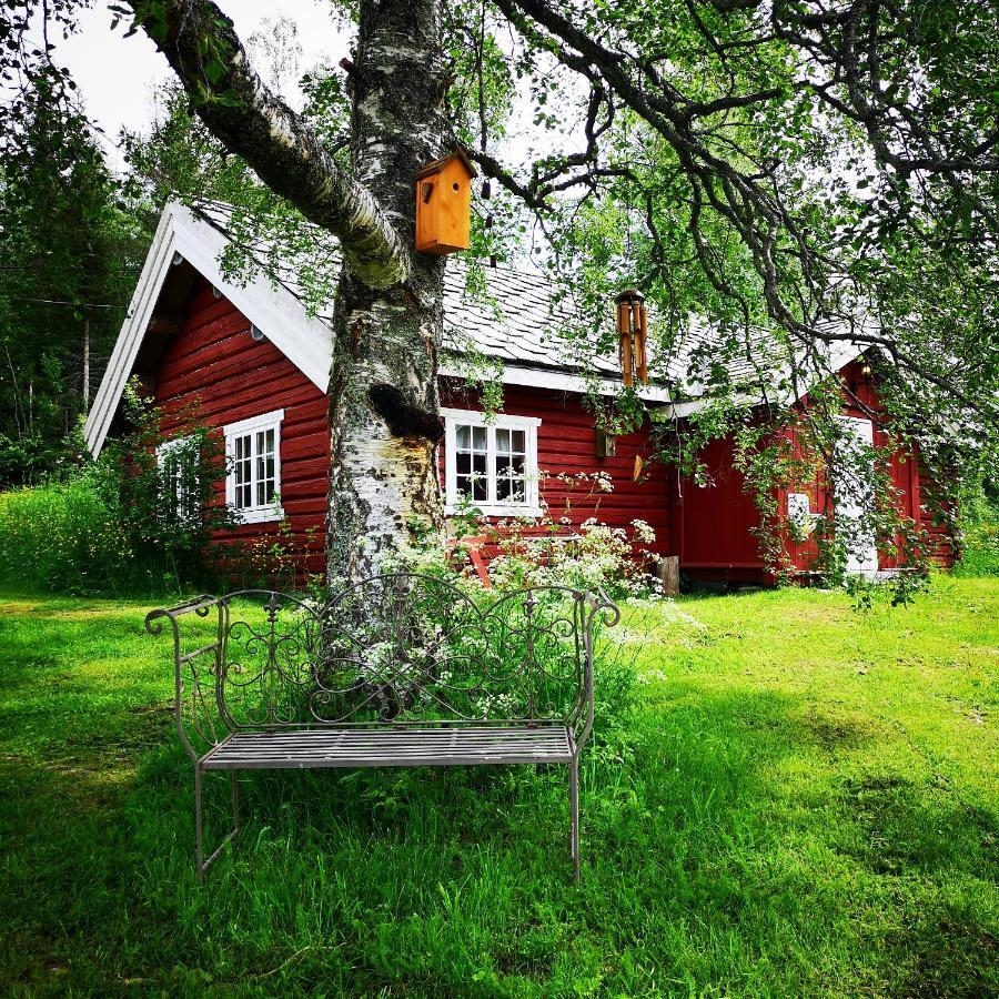Haugtun Gardspensjonat Og Leiligheter Nordre Land Exteriér fotografie